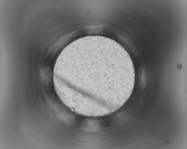 X0000111680228200908281143