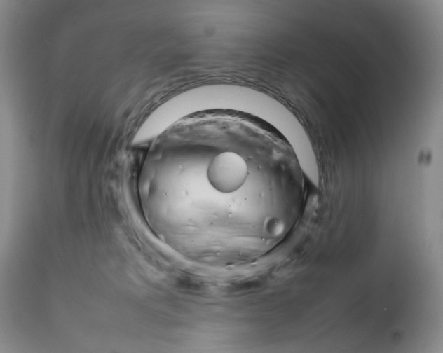 X0000111680229200908281143