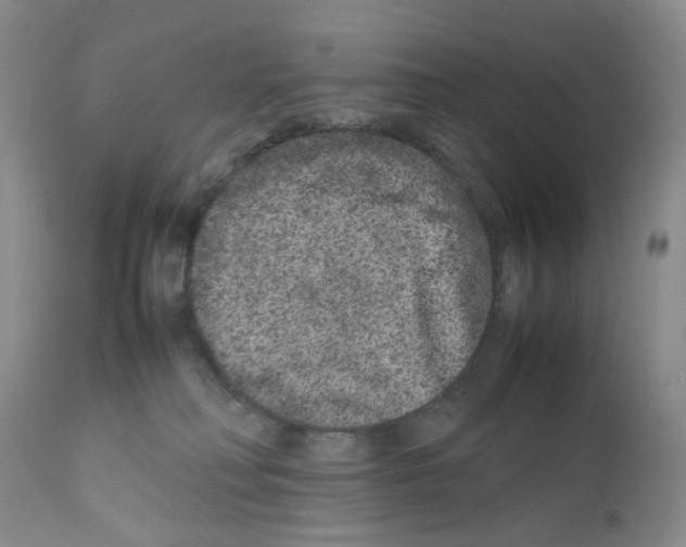 X0000111680230200908281143