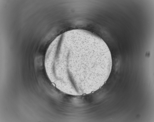 X0000111680232200908281143