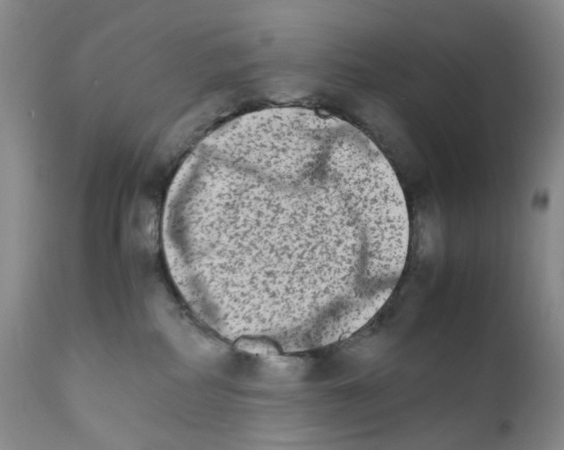 X0000111680234200908281143