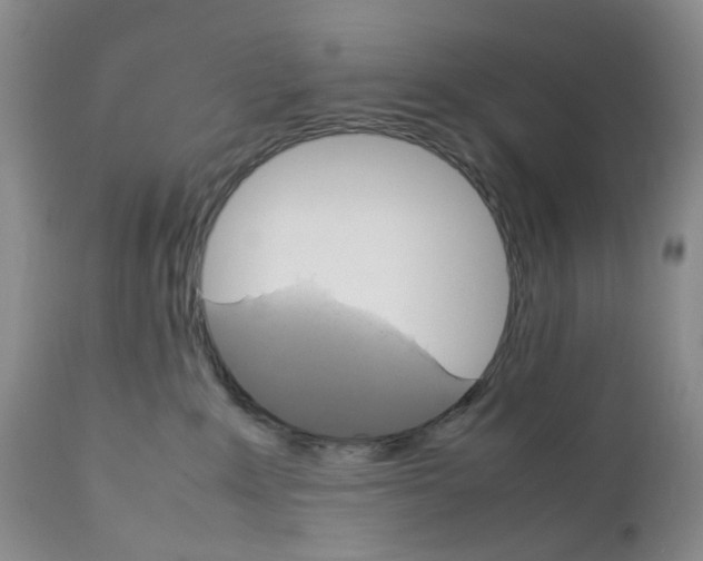 X0000111680235200908281143