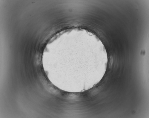 X0000111680236200908281143