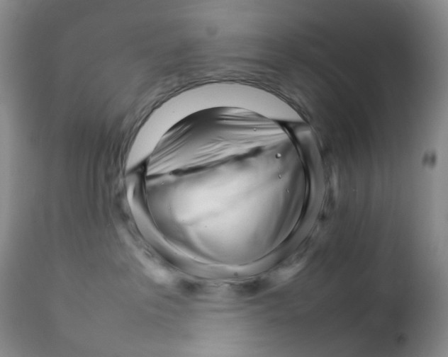 X0000111680237200908281143