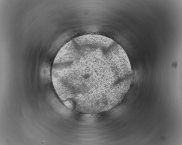 X0000111680238200908281143