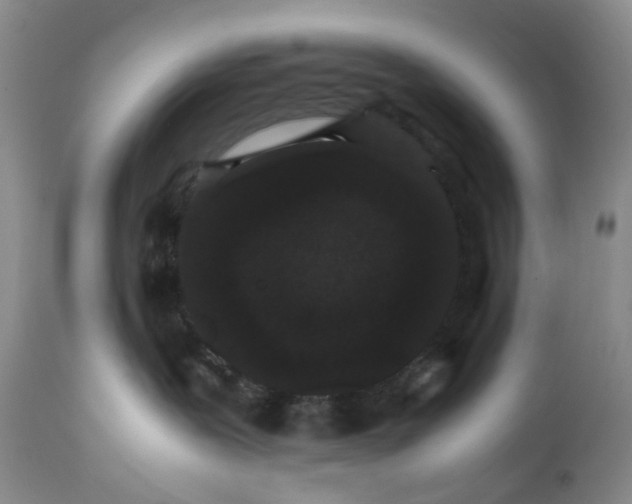 X0000111680239200908281143