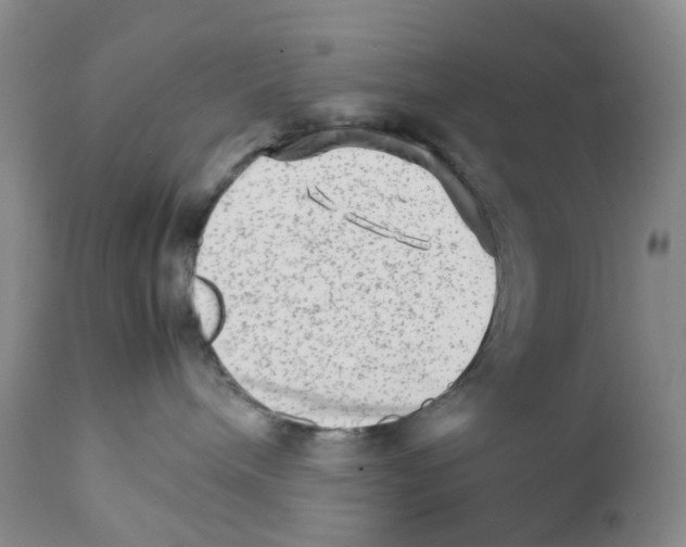 X0000111680240200908281143