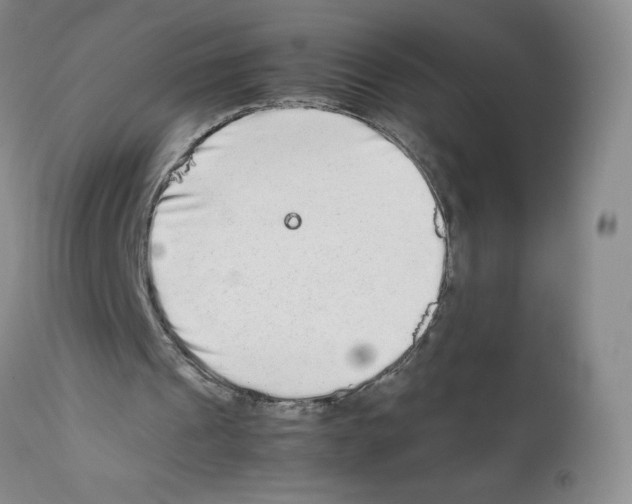 X0000111680241200908281142