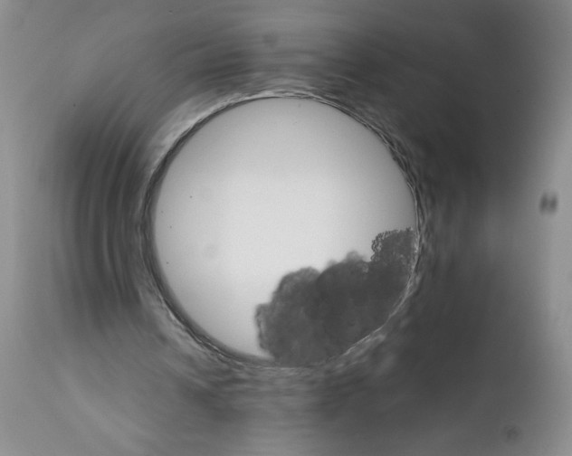 X0000111680242200908281142