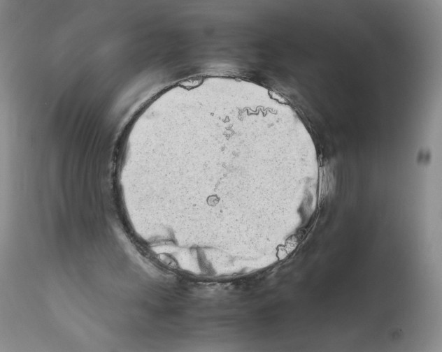 X0000111680243200908281142