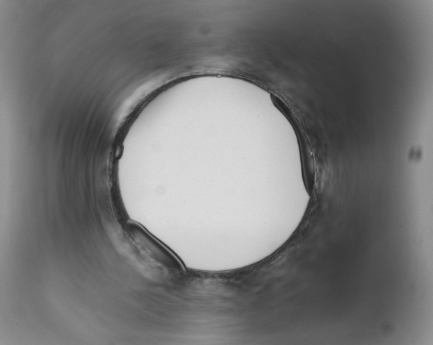 X0000111680244200908281142