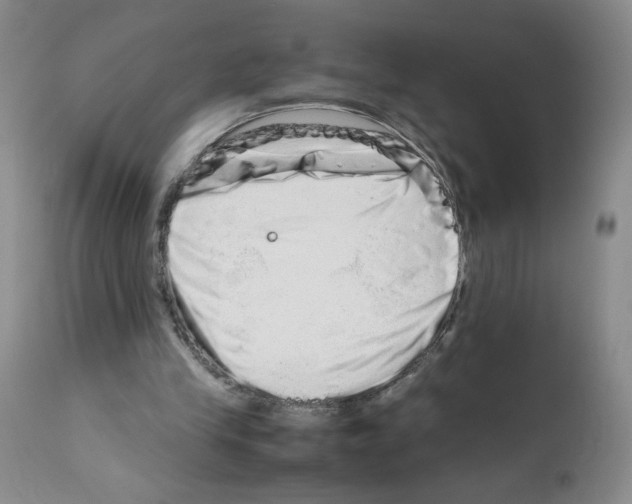 X0000111680245200908281142