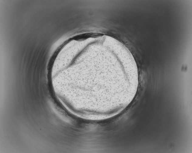 X0000111680246200908281142