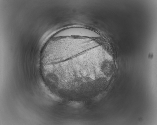 X0000111680247200908281142