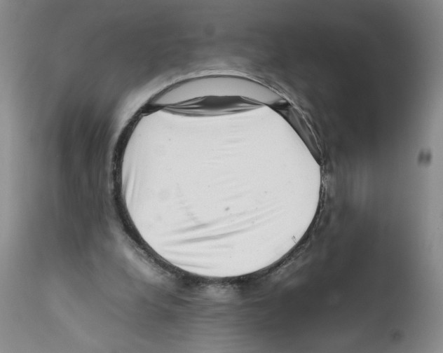 X0000111680248200908281142