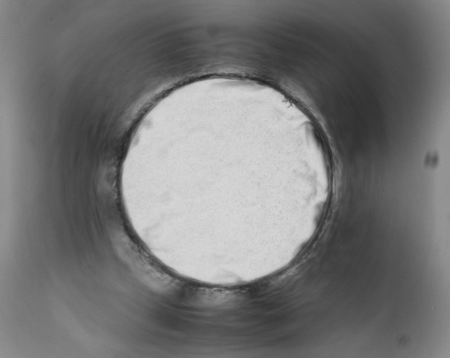 X0000111680249200908281142