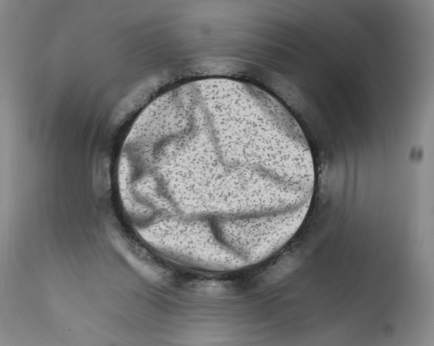 X0000111680254200908281142