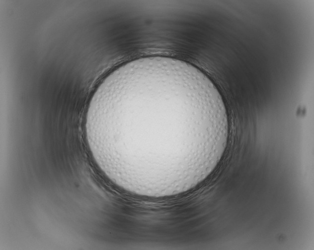 X0000111680255200908281142