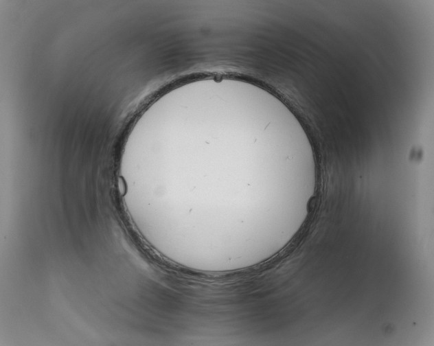 X0000111680256200908281142