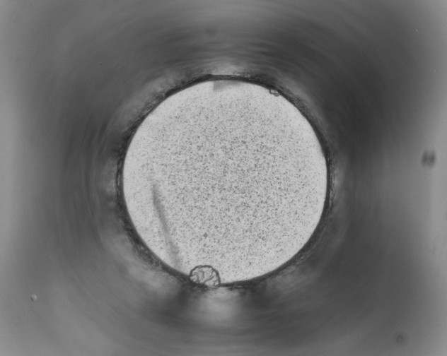 X0000111680257200908281142