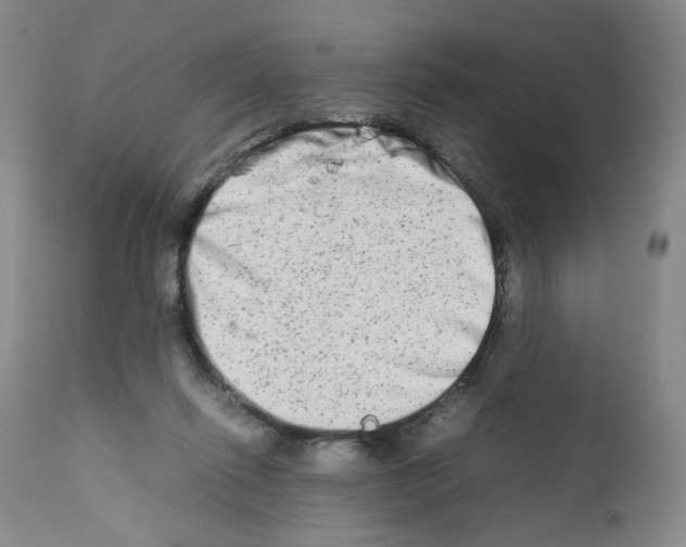 X0000111680262200908281142