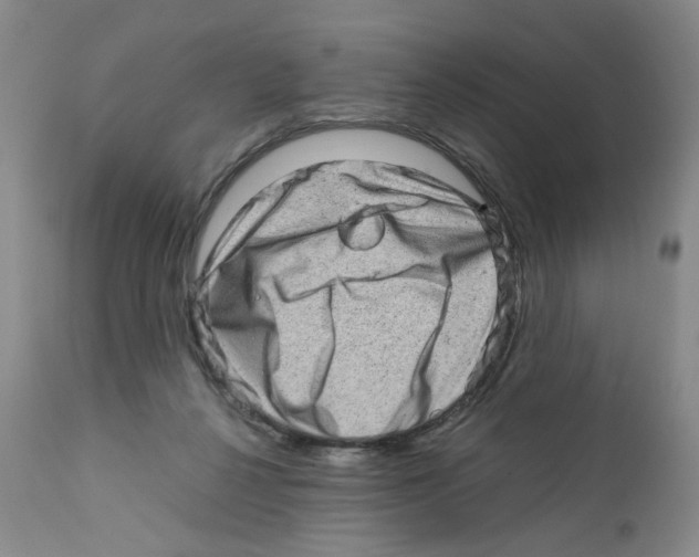 X0000111680264200908281142