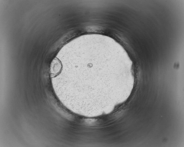 X0000111680265200908281142