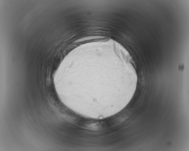 X0000111680267200908281143