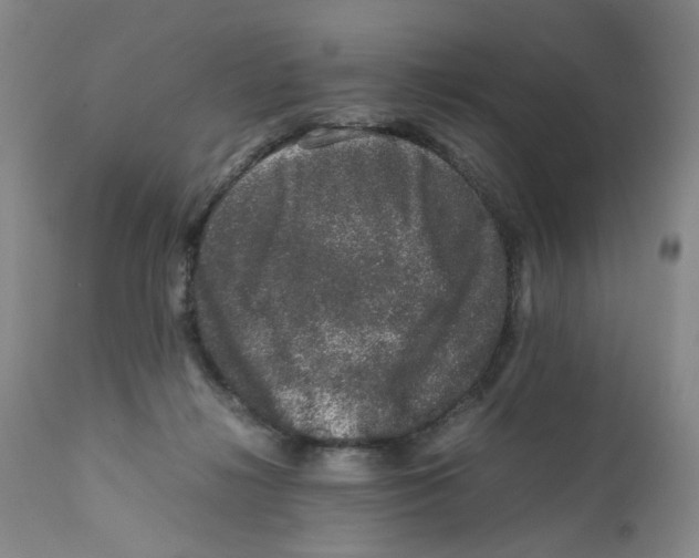 X0000111680268200908281143