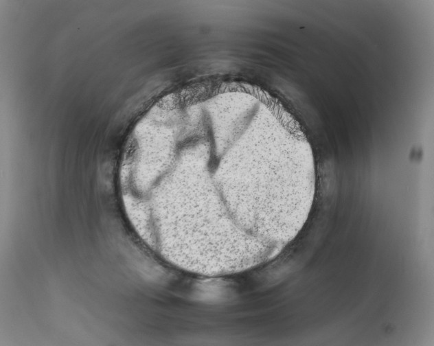 X0000111680269200908281143