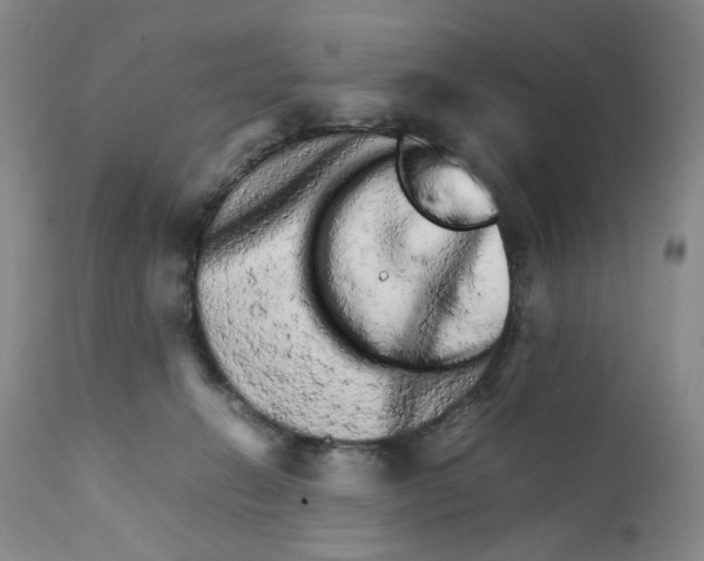 X0000111680270200908281143