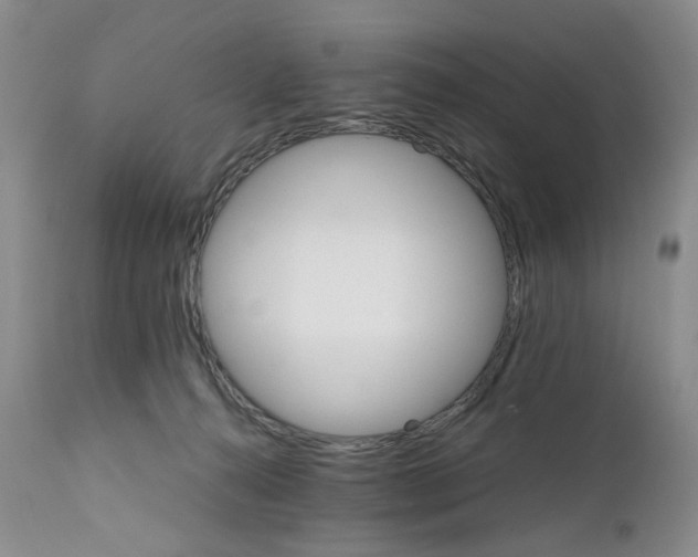 X0000111680272200908281143