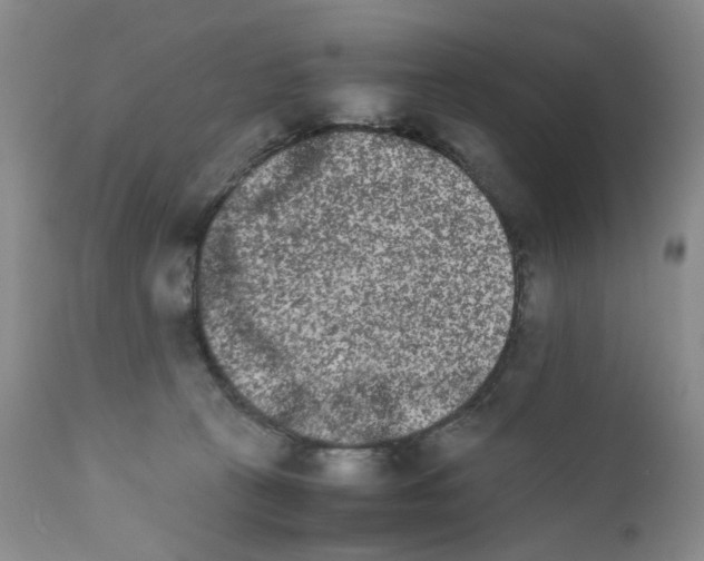 X0000111680273200908281143