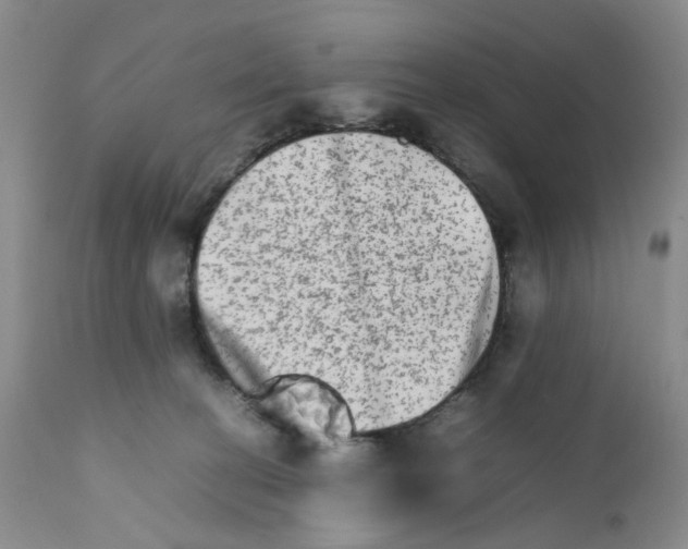 X0000111680274200908281143