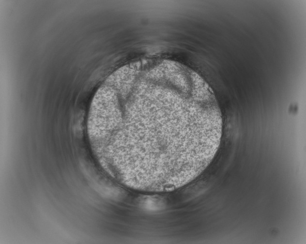 X0000111680275200908281143