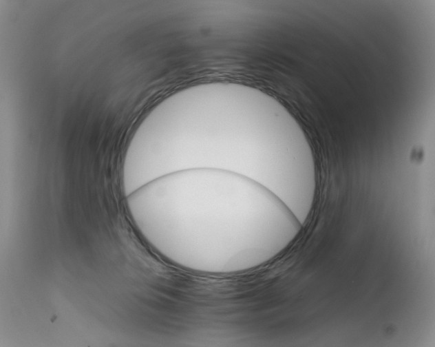 X0000111680276200908281143