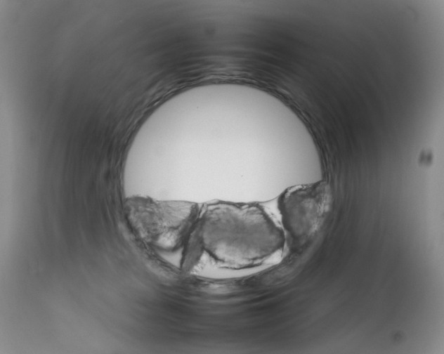 X0000111680277200908281143