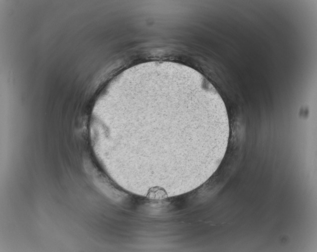 X0000111680278200908281143