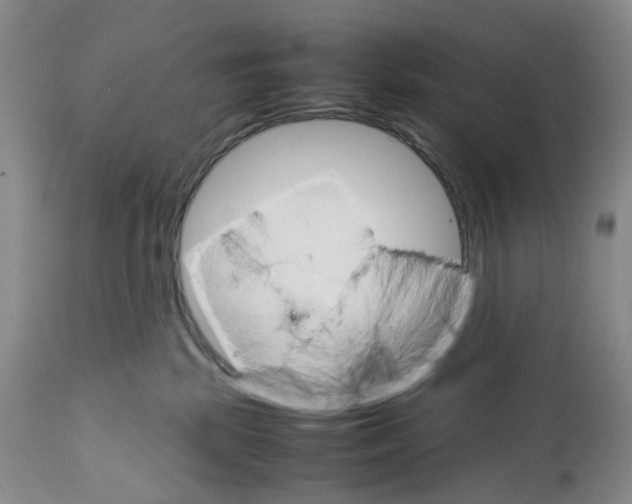 X0000111680281200908281143