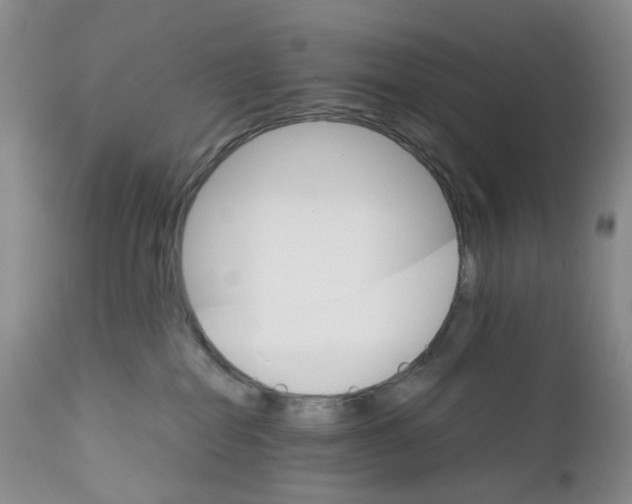 X0000111680282200908281143