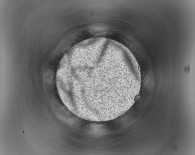 X0000111680283200908281143