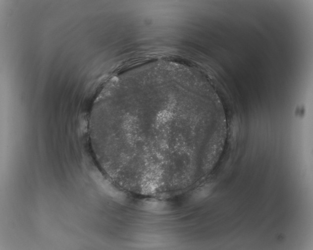 X0000111680284200908281143