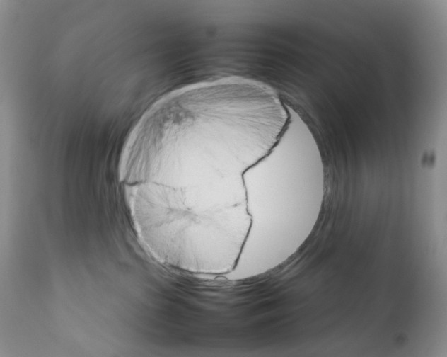 X0000111680285200908281143