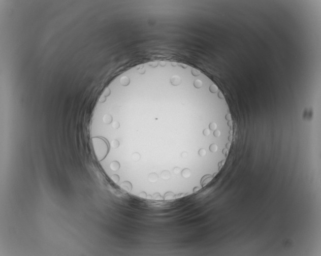 X0000111680287200908281143