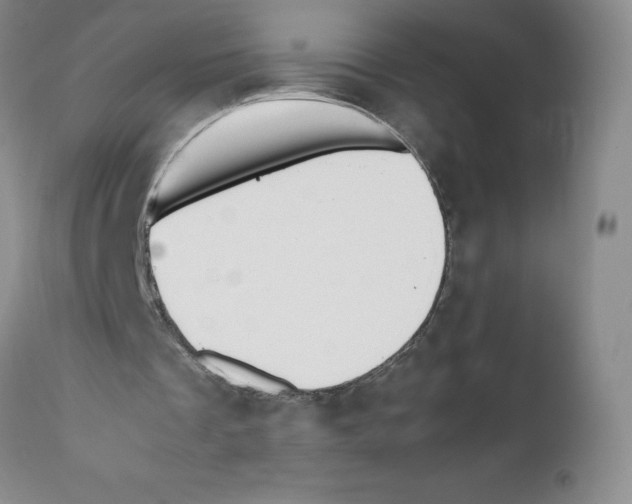 X0000111680289200908281142