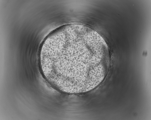 X0000111680290200908281142