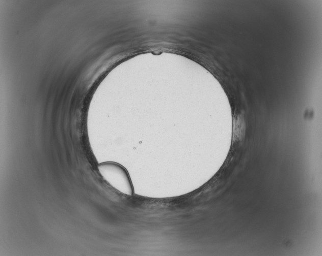 X0000111680291200908281142