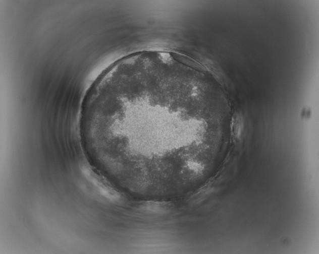 X0000111680292200908281142