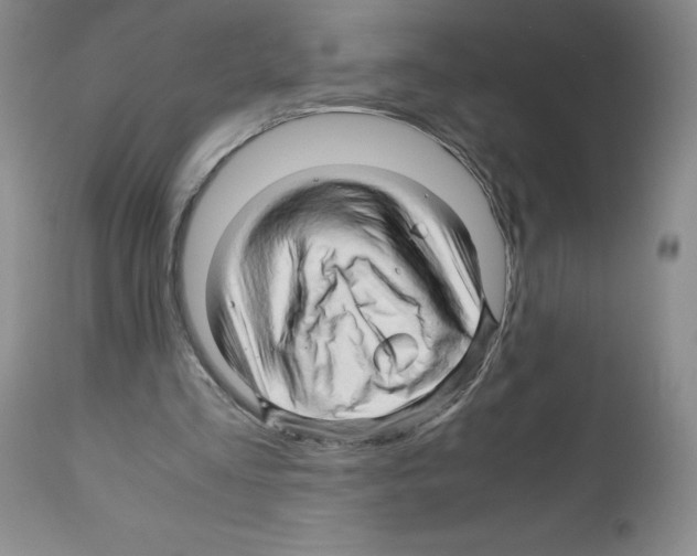 X0000111680293200908281142