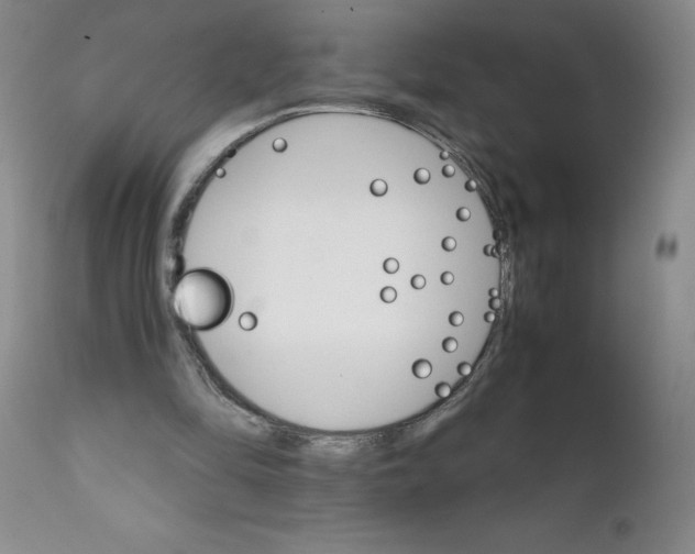 X0000111680294200908281142